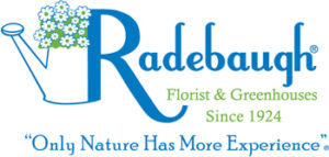 Radebaugh Florist, Flyline Search Marketing Client