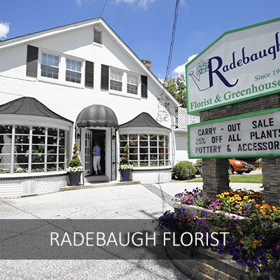 Radebaugh Flowers, Baltimore Florist, Flyline Search Marketing Client