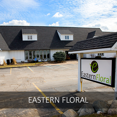 Eastern Floral, Grand Rapids Florist, Flyline Search Marketing Client